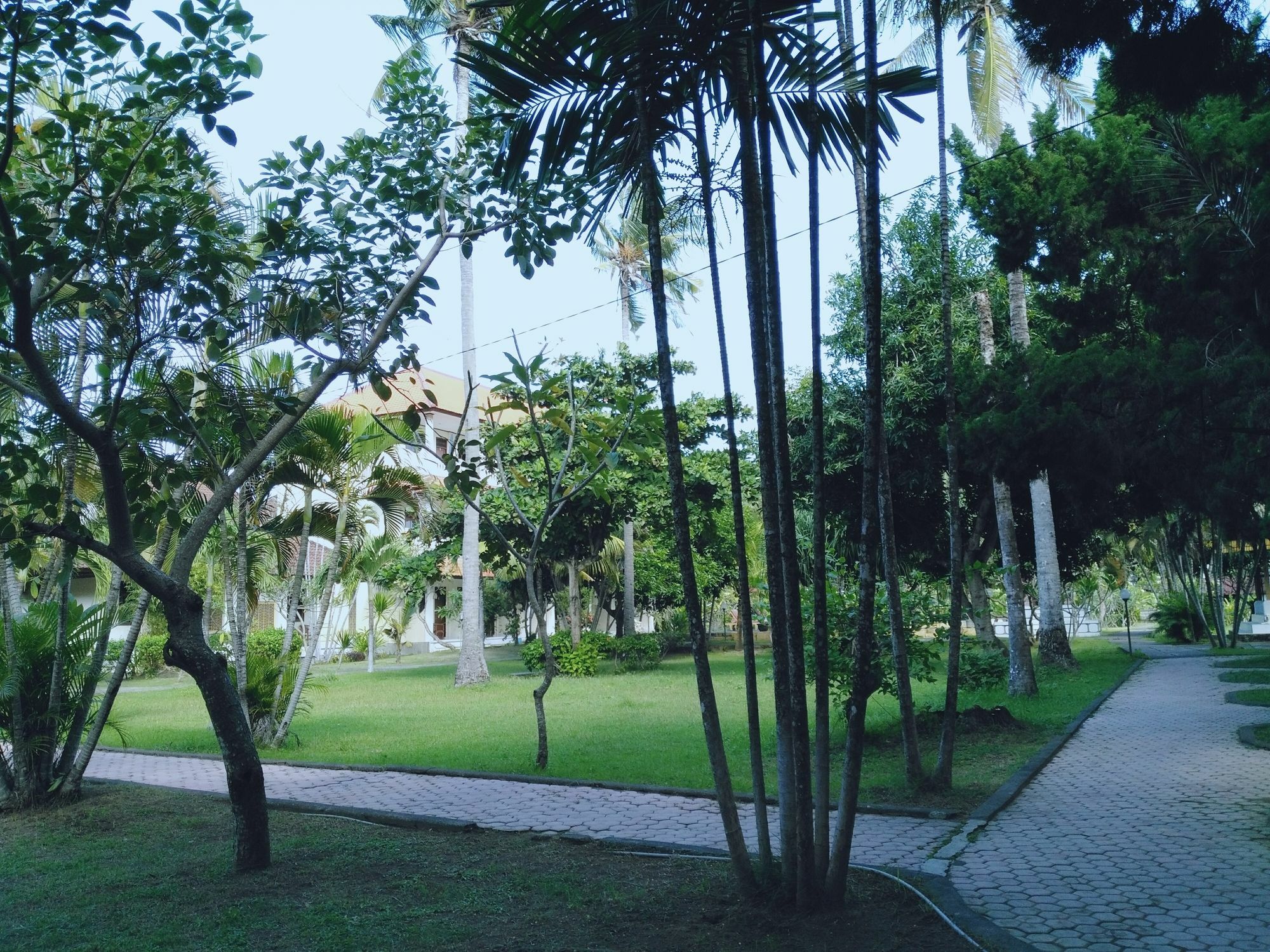 Mekar Jaya Bungalows Kuta Lombok Dış mekan fotoğraf